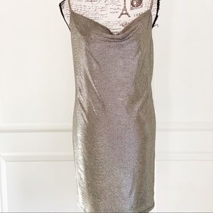 Shiny metallic slip dress NWT